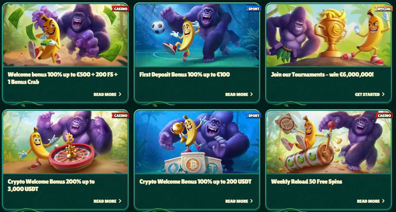 Bonuses and Promotions